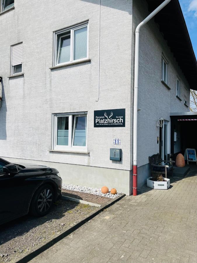 Pension Platzhirsch Mücke Exteriör bild