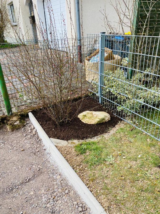 Pension Platzhirsch Mücke Exteriör bild
