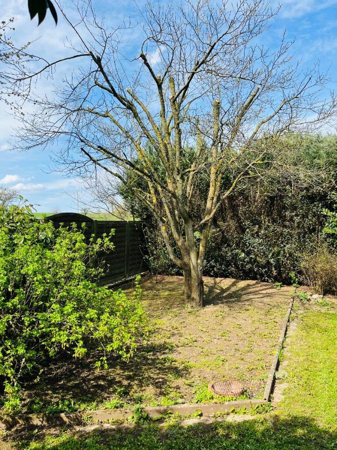Pension Platzhirsch Mücke Exteriör bild