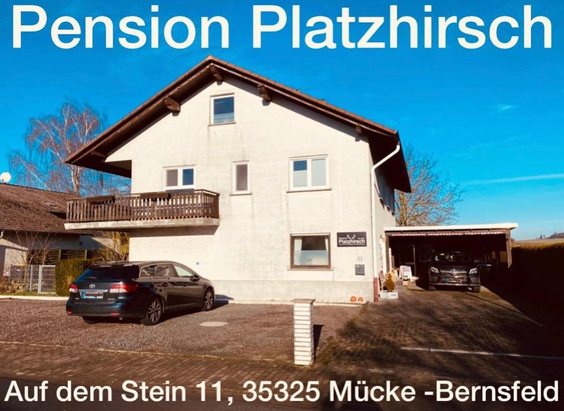Pension Platzhirsch Mücke Exteriör bild